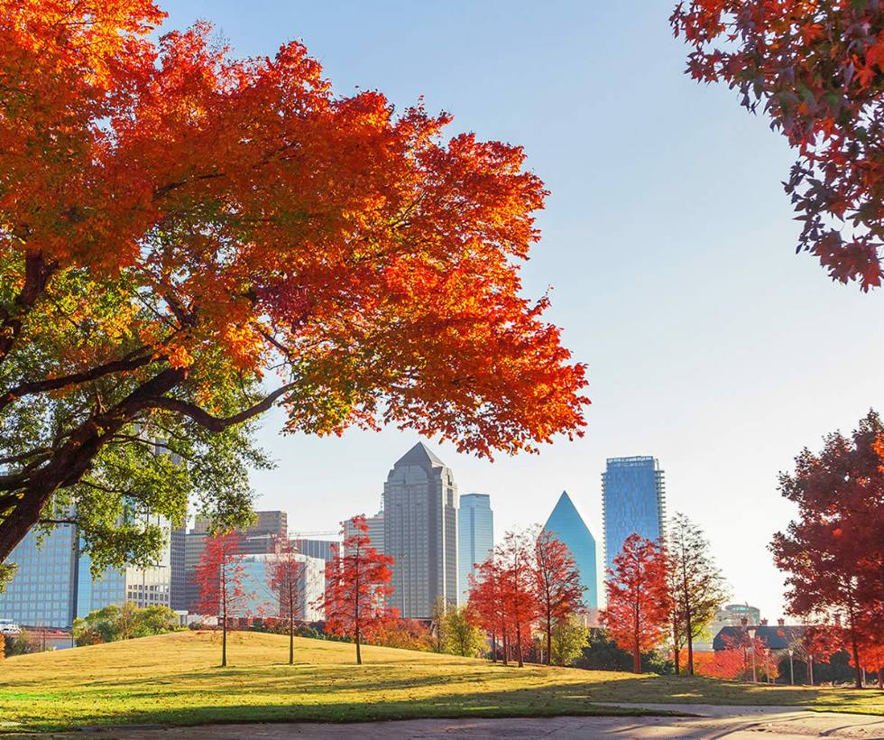 Fall park near downtown Dallas Texas