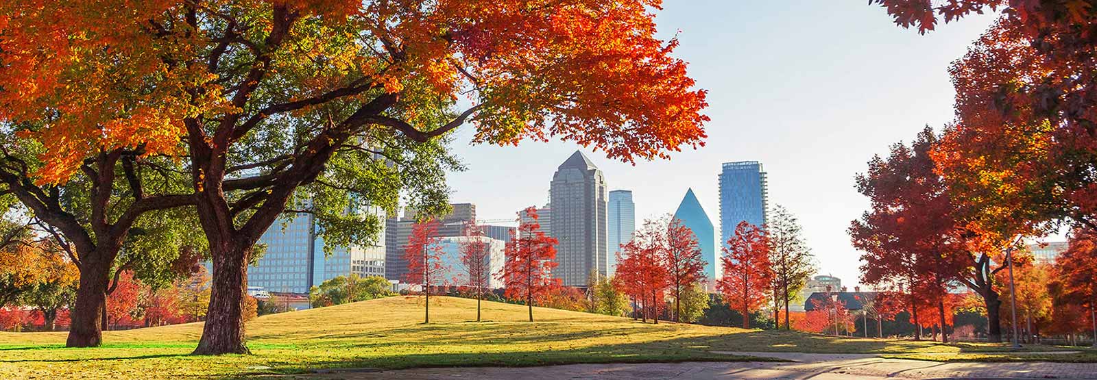 Autumn city views.